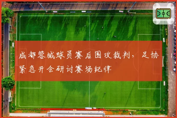 成都蓉城球员赛后围攻裁判，足协紧急开会研讨赛场纪律