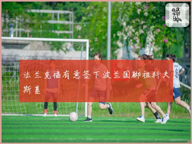 法兰克福有意签下波兰国脚祖科夫斯基