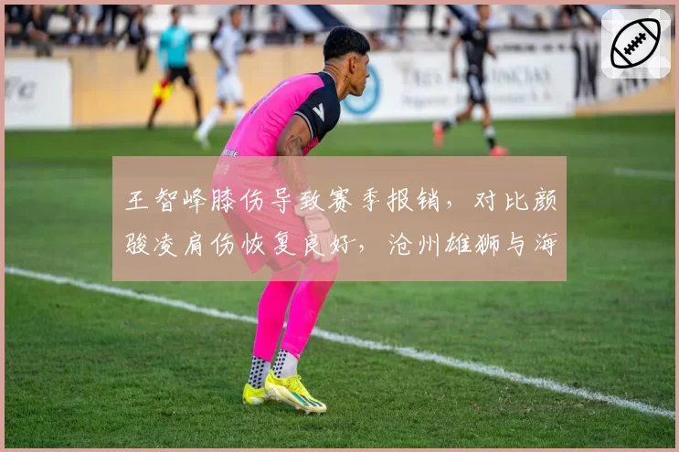 王智峰膝伤导致赛季报销，对比颜骏凌肩伤恢复良好，沧州雄狮与海港国门命运迥异