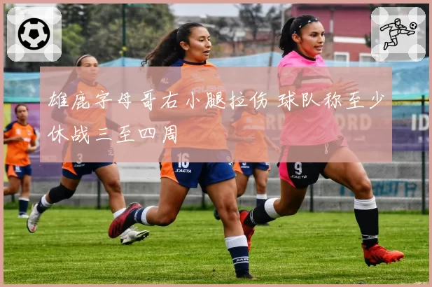 雄鹿字母哥右小腿拉伤 球队称至少休战三至四周