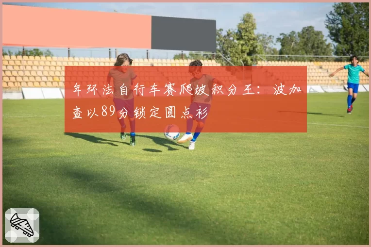 年环法自行车赛爬坡积分王：波加查以89分锁定圆点衫