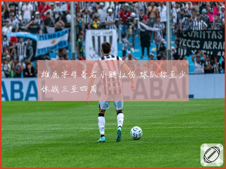 雄鹿字母哥右小腿拉伤 球队称至少休战三至四周