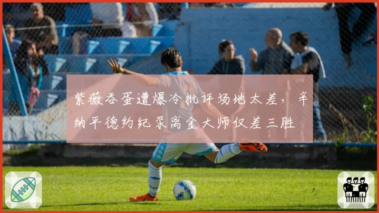 紫薇吞蛋遭爆冷批评场地太差，辛纳平德约纪录离金大师仅差三胜