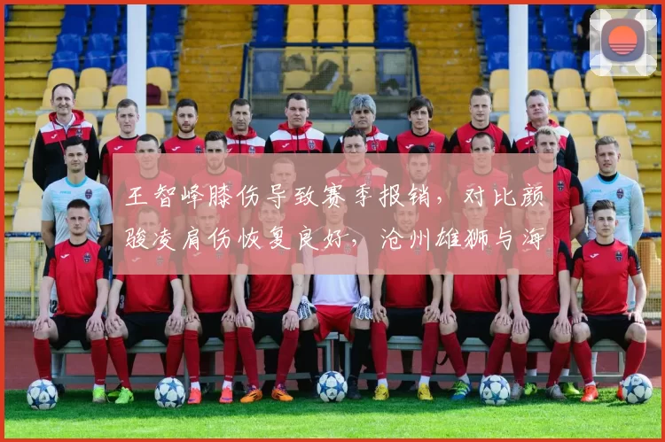 王智峰膝伤导致赛季报销，对比颜骏凌肩伤恢复良好，沧州雄狮与海港国门命运迥异